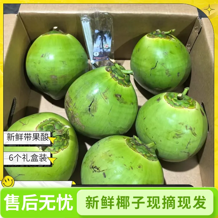 正宗海南文昌东郊青皮椰子大果6个装保底400ml自然新鲜带果酸