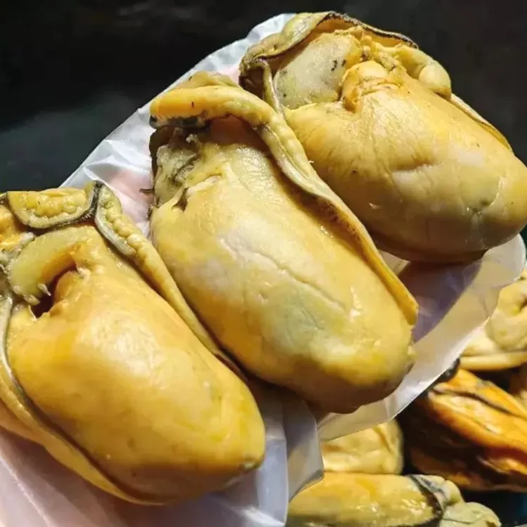 【40头大金蚝】生晒野生大号金蚝干生蚝干饱满不抽油原汁原味六成干