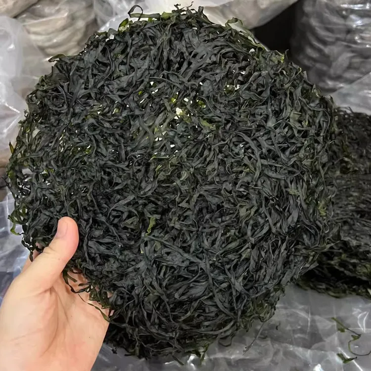 福建当季新货霞浦海带干货烘干海带丝速食凉拌无沙