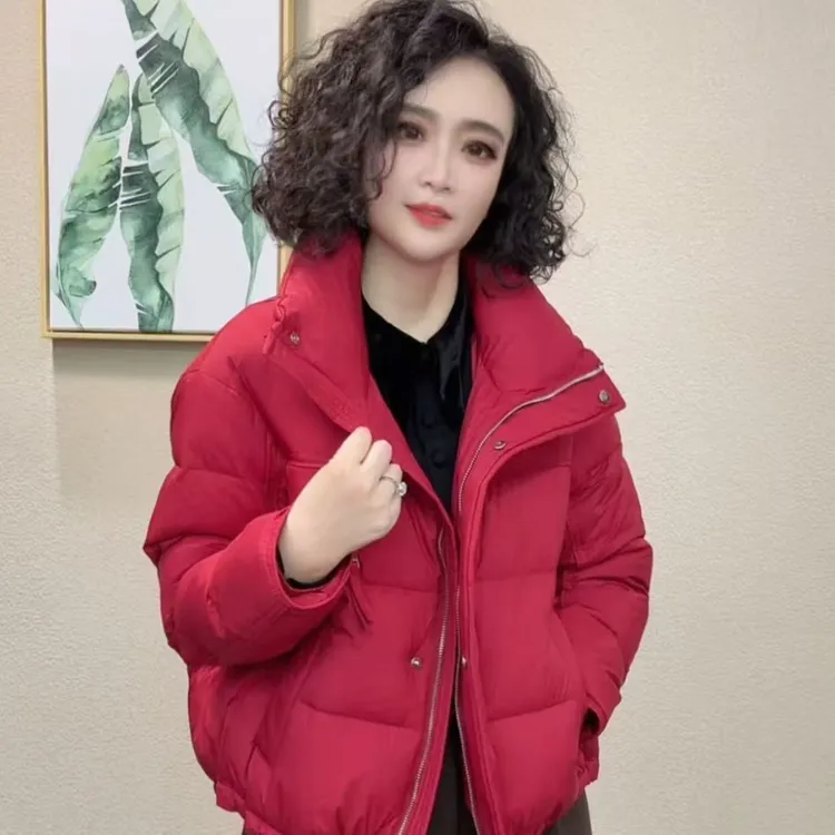 2025新款冬季短款显瘦气质百搭时尚羽绒服 #44