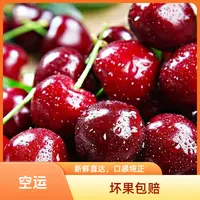 山东美早大樱桃【顺丰/京东空运】4斤J尝鲜装现摘现发