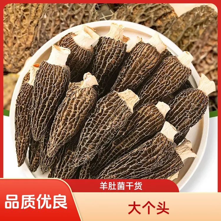 【苗乡绿源】沅陵当季头茬羊肚菌大个肉厚美味干货煲汤包7-9厘米