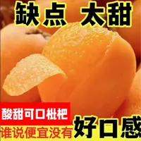 Q四川大五星枇杷鲜果当季新鲜水果整箱包邮