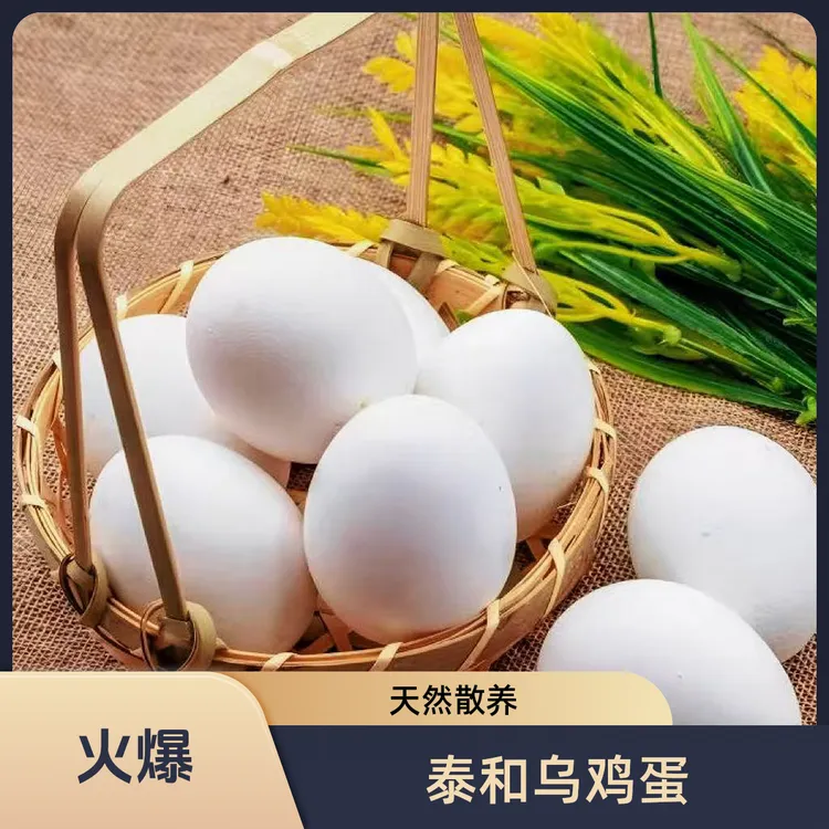泰和武山林下散养、食五谷杂粮虫草、饮武山水和仙美原种泰和乌鸡蛋