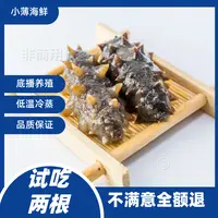 超大号！大连本地辽刺参5-6个头左右【即食海参】