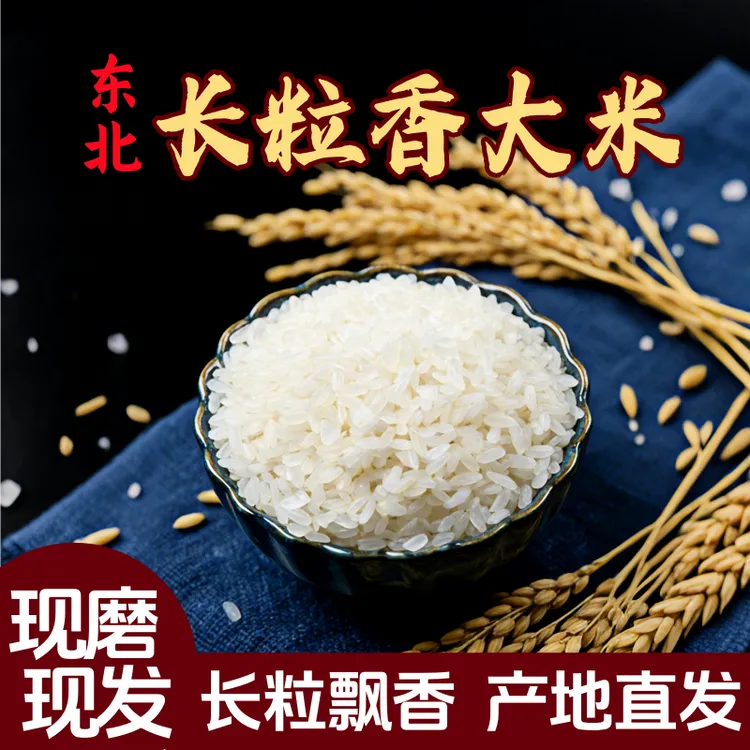 2025年新米东北长粒香米10斤装家庭款农家自种东北大米软糯香甜