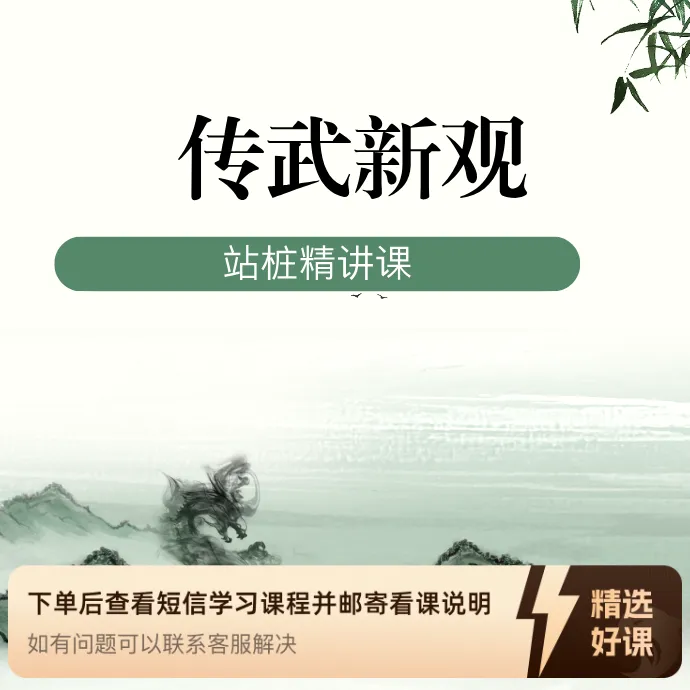 传武新观-站桩精讲课（留意短信解锁课程）