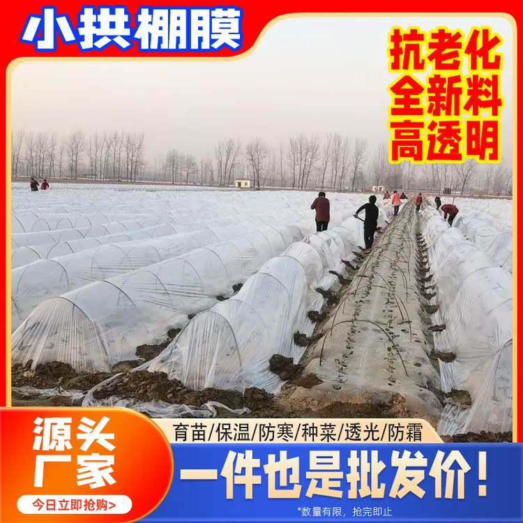 批发种菜小拱棚塑料膜菜棚防寒薄膜暖棚保温地膜支架塑料布专用膜