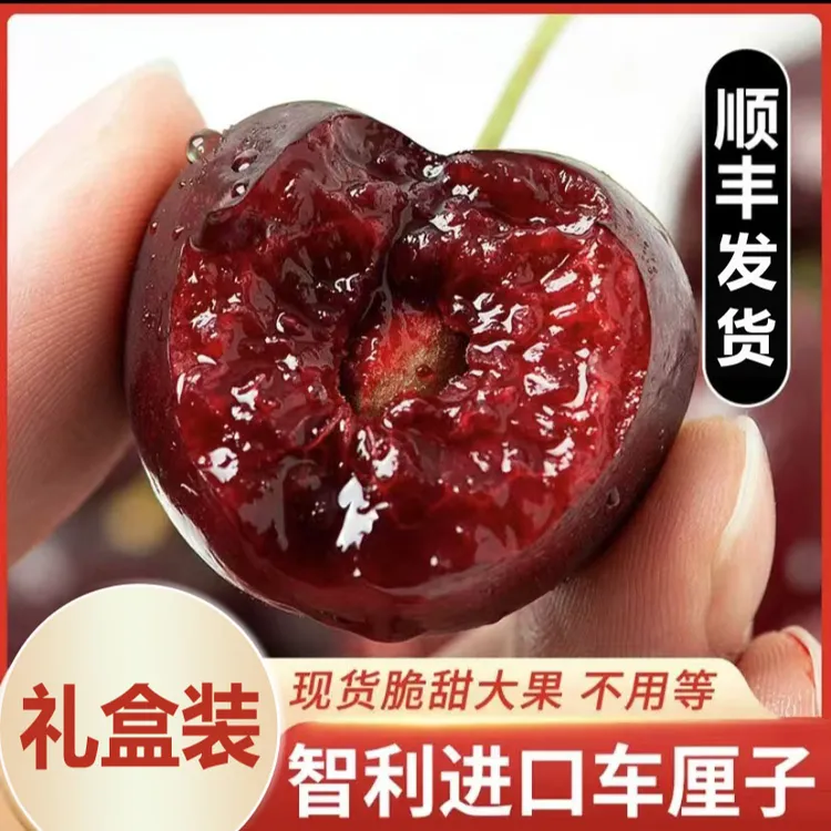 现货智利新鲜车厘子进口JJ1-5斤大樱桃脆甜海运新鲜水果礼盒