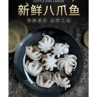 新鲜八爪鱼鲜活冷冻小章鱼短腿八爪鱼25.9元/410g/包