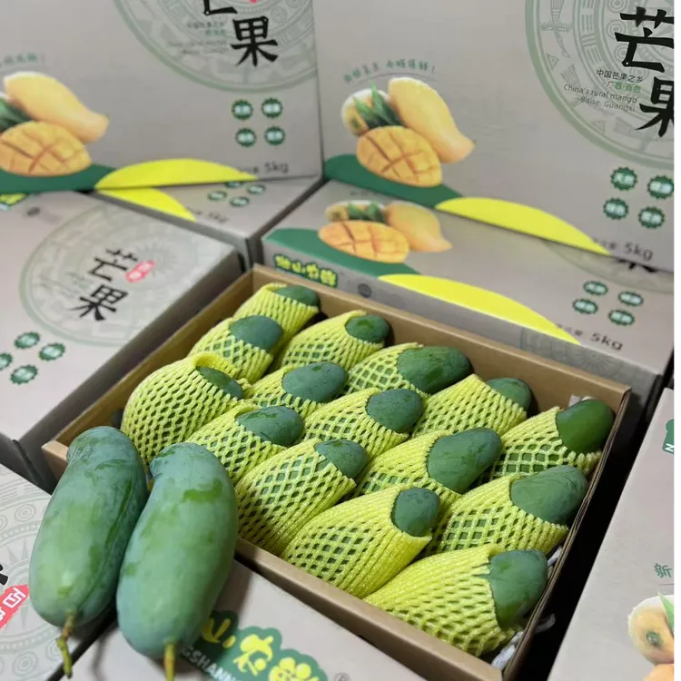 广西百色正宗精品桂七香芒新鲜采摘现摘现发（送礼佳品）