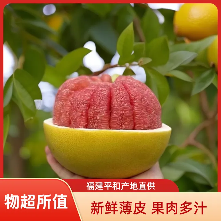 福建平和老树红心蜜柚三红柚新鲜采摘皮薄肉厚香甜多汁