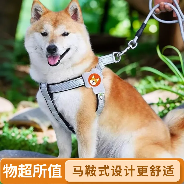 狗狗马鞍式胸背带透气反光狗狗牵引狗绳牵引绳宠物必备物品
