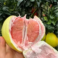 贵州红心三红蜜柚新鲜应季水果酸甜多汁9分甜1分酸