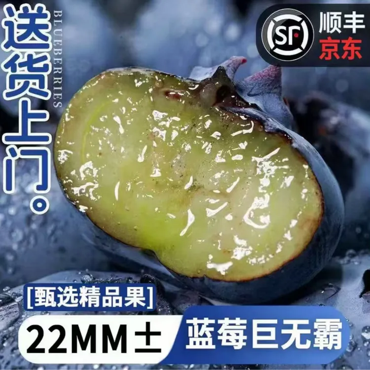 FX【顺丰/JD】甄选当季蓝莓鲜果孕妇整箱新鲜水果肉厚脆甜蓝莓