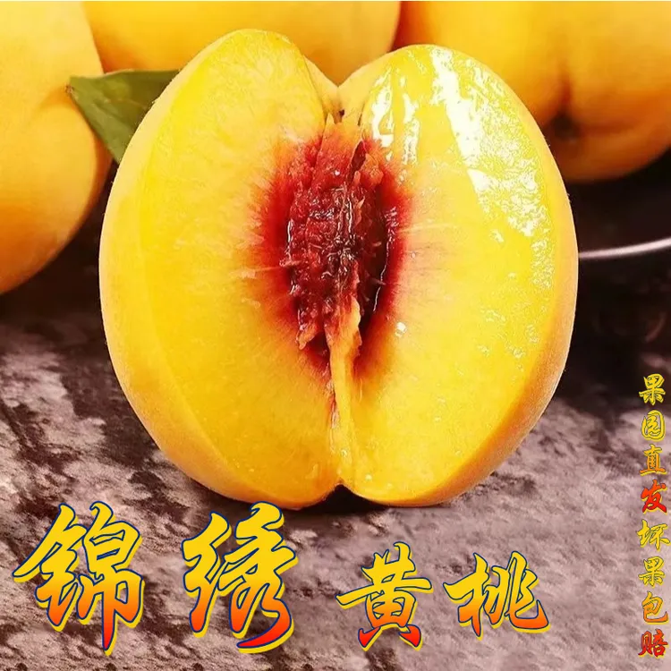 【GG爱吃专属】T蒙阴锦绣黄桃现摘现发香甜多汁蜜香味浓郁新鲜水果