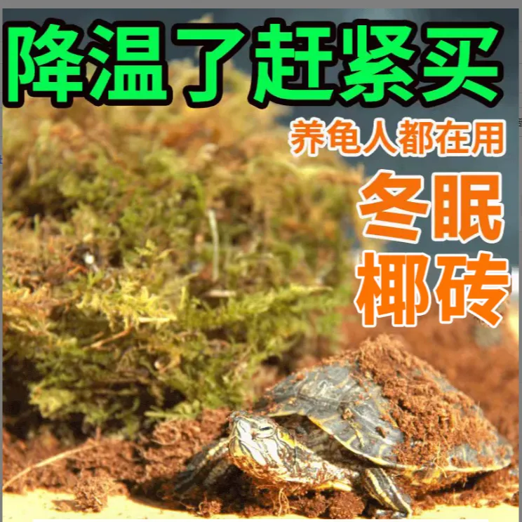 爬宠苔藓保湿乌龟冬眠青苔过冬用品椰土砖草龟巴西龟过冬用品