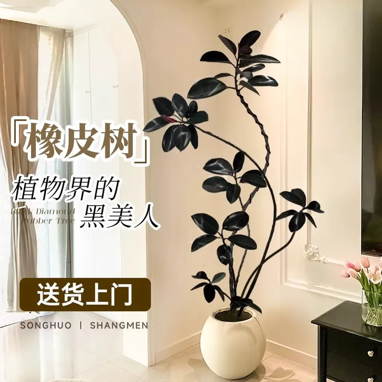 仿真绿植黑金刚橡皮树室内客厅大型盆栽高端轻奢仿生假树植物摆件