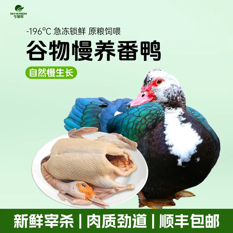【今聚鲜】谷物喂养番鸭单只净重6斤*1只 红烧爆炒煲汤皆宜顺丰包邮
