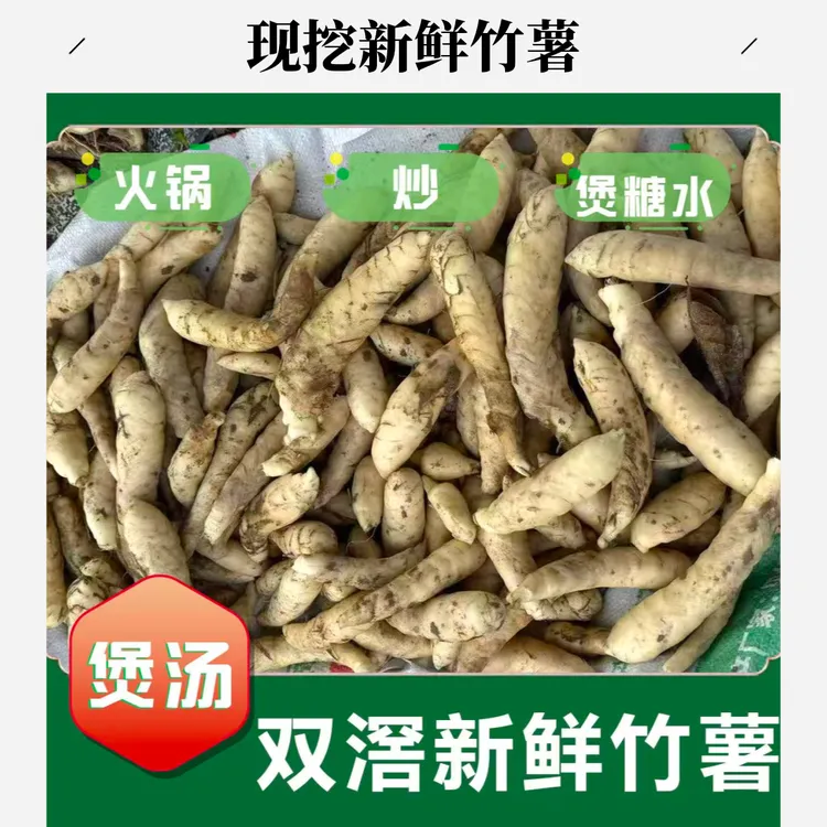 现挖新鲜竹薯冬薯广东当季可煲汤可香煎的特色食材（送香辣孜然粉）