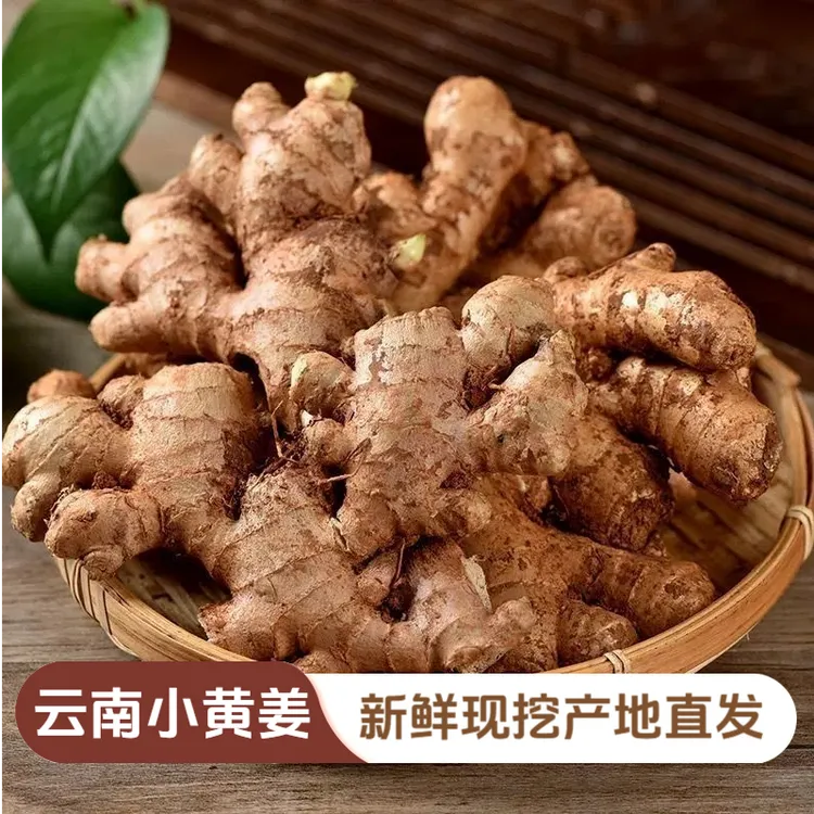 正宗云南小黄姜新鲜现挖现发带泥老姜新鲜嫩姜月子姜批发家用商用