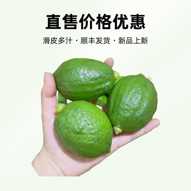 广东无籽皮薄多汁新鲜专用泡水采摘自家果园批发香水柠檬鲜果