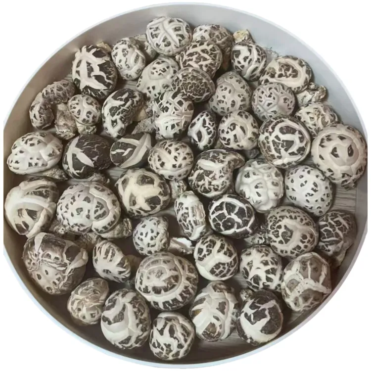 随州特产花菇干货 大果肉厚椴木花菇煲汤美味