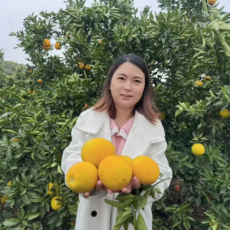 广西富川脐橙现摘现发香甜可口香味十足净重5斤顺丰包邮