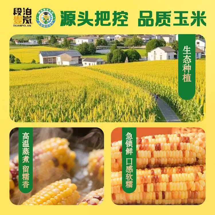 10根(含2根试吃)鲜食五彩花糯玉米甜糯真空早餐代餐加热即食粗粮
