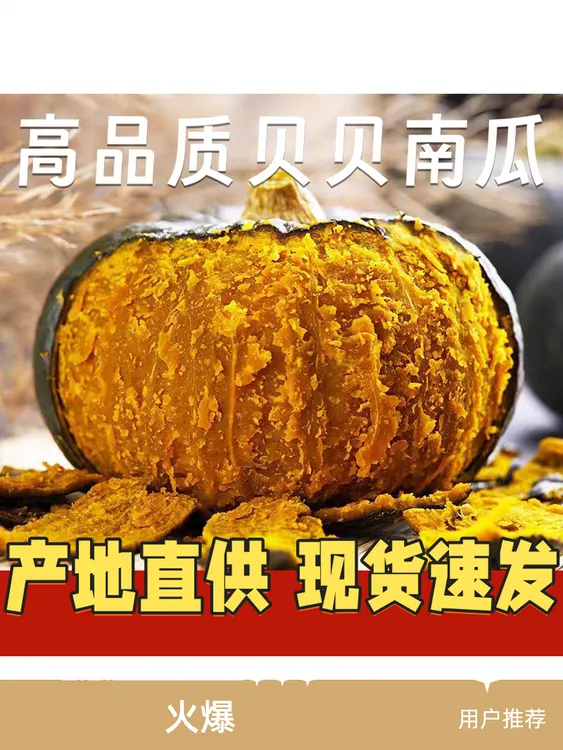 【不粉包赔】正宗贝贝南瓜粉糯香甜板栗味宝宝辅食粗粮5斤，4-7个