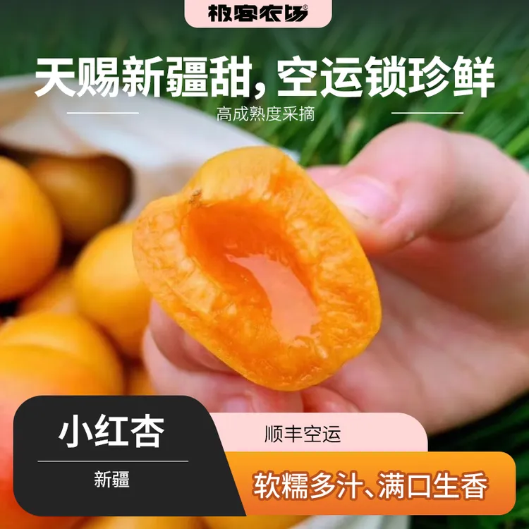 新疆小红杏高成熟汁水丰富 果肉细腻蜜甜 果皮微酸 甜杏 空运