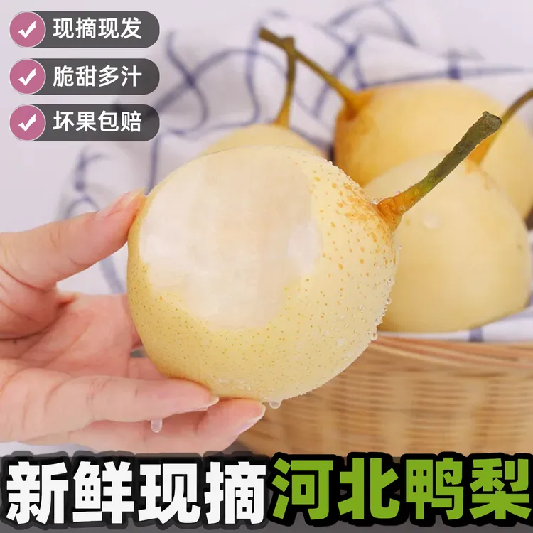 河北鸭梨中秋水果礼盒现摘自然熟酥脆当季新鲜水果产地直发雪梨子
