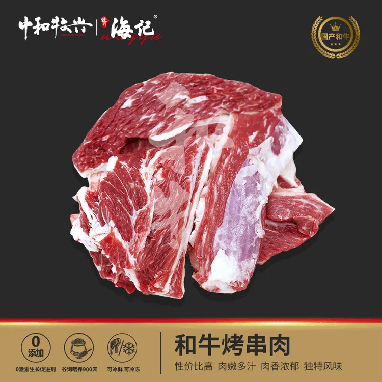 【和牛烤串肉】国产谷饲900天和牛清炖 红烧牛肉 烤串大块肉 顺丰