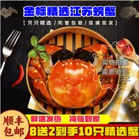 【金标活蟹】全母蟹6只装8只装10只装3..3两~2..8两洪泽湖螃蟹礼盒