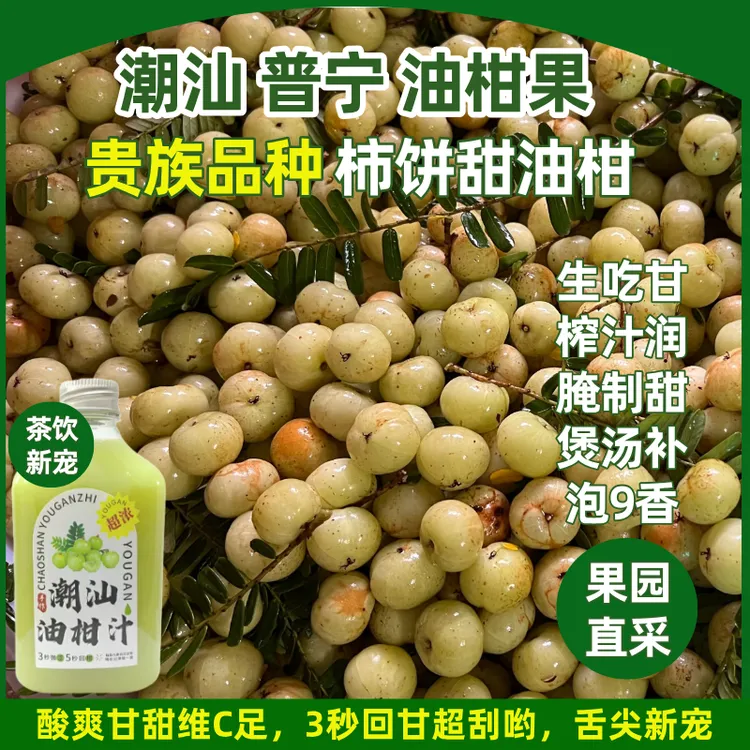 【甜油柑】潮汕普宁甜油柑 普宁特产扁状油柑 油柑果余甘子新鲜水果