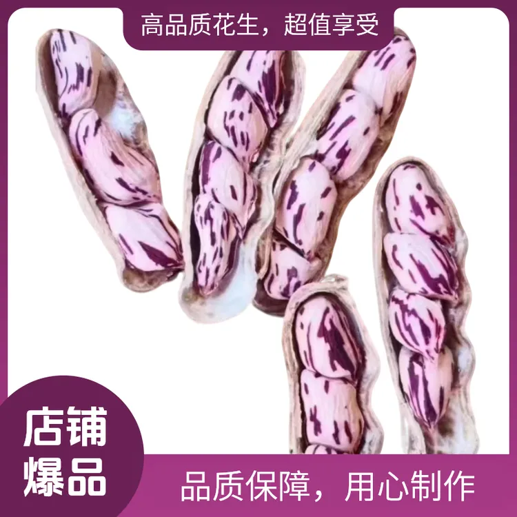 25年新果七彩花生带壳香脆花生独立包装休闲零食酒鬼花生包邮