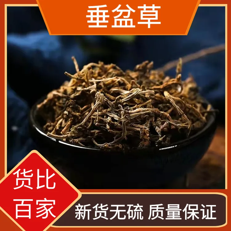 垂盆草新鲜干货泡茶正宗垂盆草干正品精选500g-1000g包邮非益母草