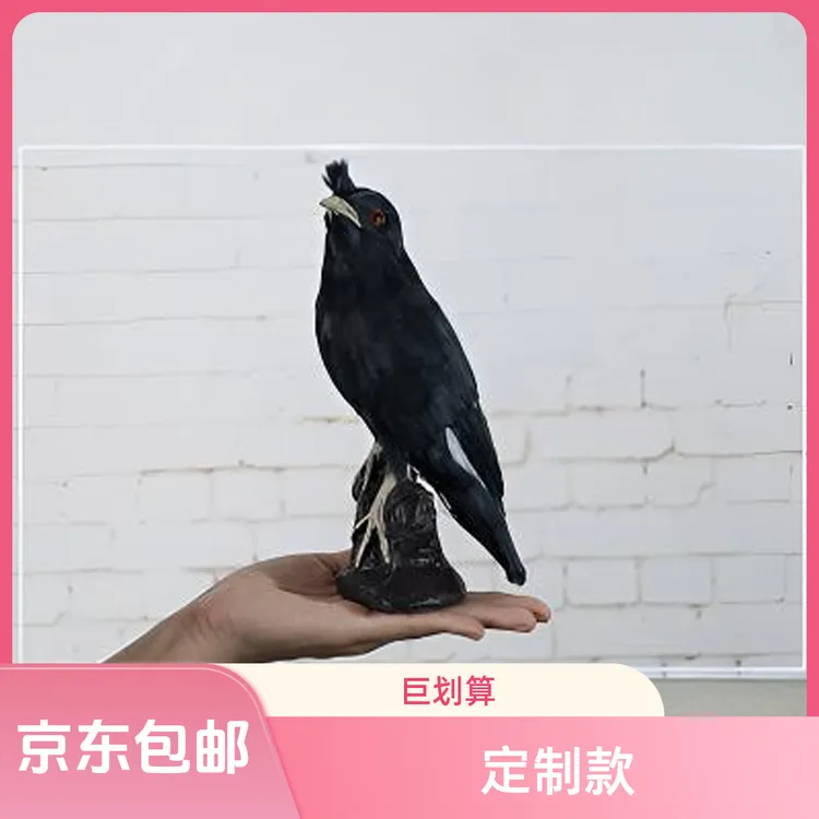 定制款链接黑八模型森林系语言模仿直播间定制款黑八直播挑选