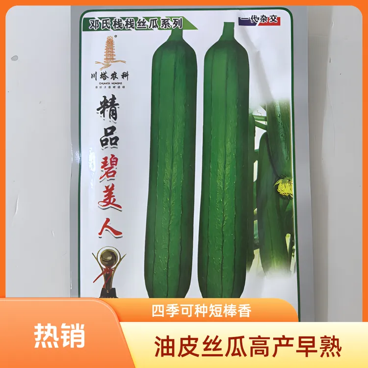 碧美人油皮丝瓜种子香丝瓜种子丝瓜种子四季高产早熟长丝瓜种子