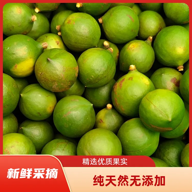 云南新鲜采摘夏威夷果带绿壳原味生果清甜清香奶香味坚果吃法多样