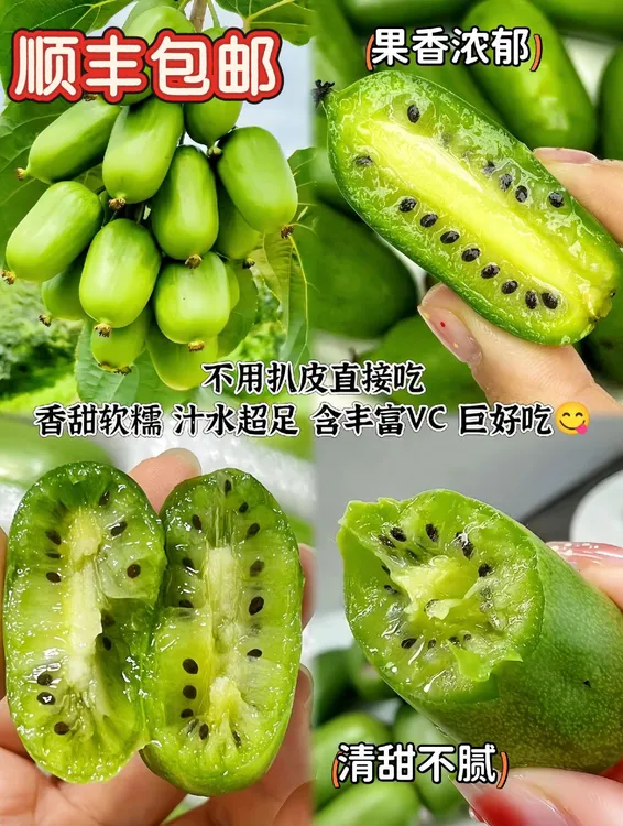 {顺丰包邮}丹东软枣猕猴桃奇异果 放软食用