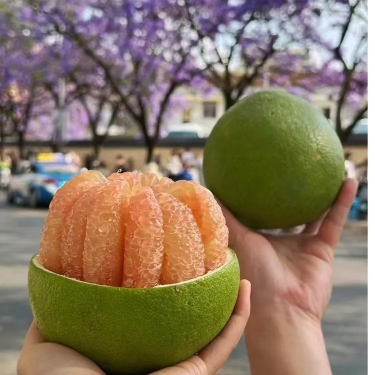 泰国青柚翡翠柚热带青皮柚子进口新鲜当季现摘清甜多汁现货速发