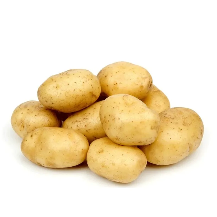 内蒙古武川沙地羊粪黄皮黄心土豆 马铃薯 大小混装 9斤装