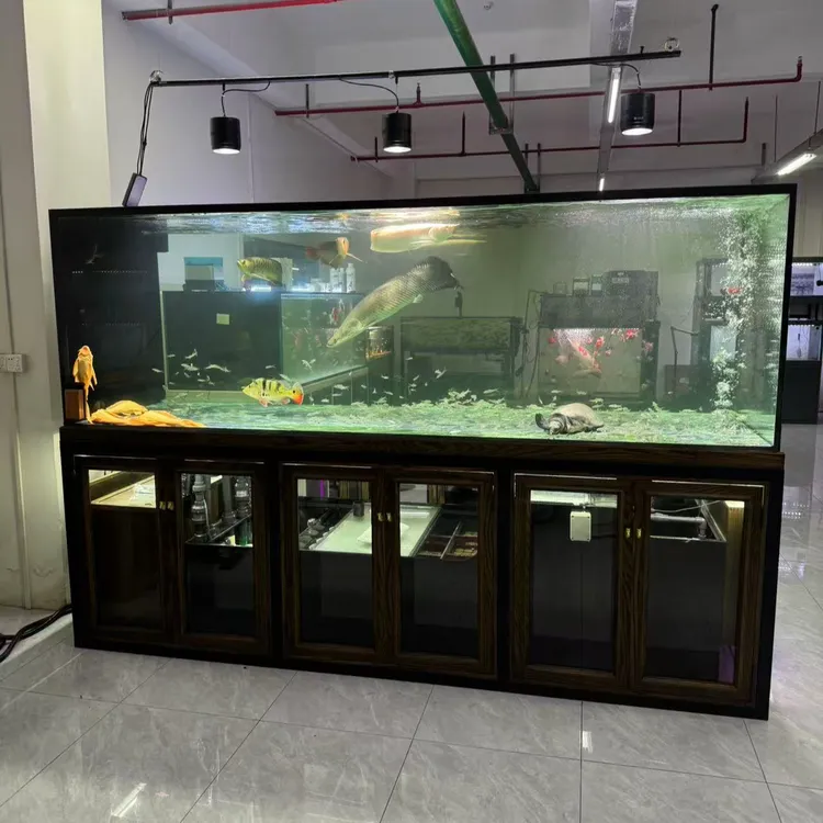 高端一体式转股大型观赏鱼实木无管件金晶超白鱼缸定制