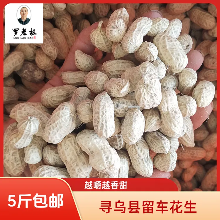 寻乌县留车花生精选水煮日晒带壳花生咸干有嚼劲解馋坚果零食特产