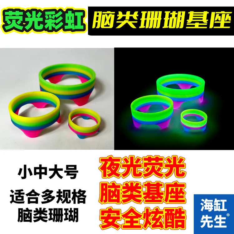 荧光彩虹【脑珊瑚基座】富士脑水晶脑基座托架珊瑚繁殖培育固定基座