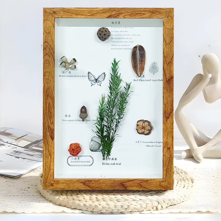 现代实物标本相框树叶装饰画家居摆台复古百搭电视柜桌面摆件2333