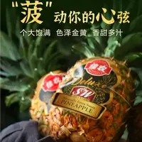 【姜婆甄选】 新到黑钻菠萝  巨甜多汁  2粒装 净果5斤金菠萝菲律宾共和国