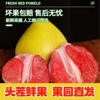 福建平和琯溪老树红心蜜柚原产地直发当季新鲜皮薄多汁果肉饱满