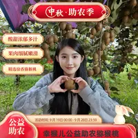 【公益代卖，嫌小勿拍】陕西徐香猕猴桃绿心新鲜水果现摘鲜甜多汁